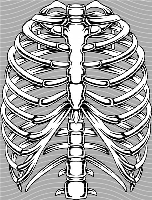 Street design-JT 4536